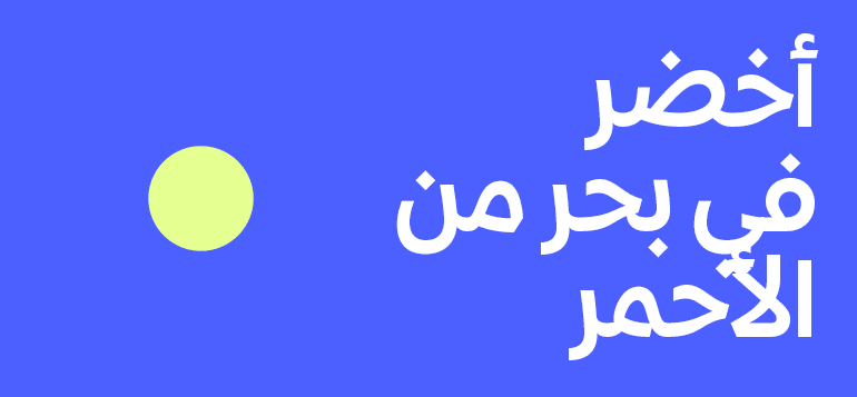 الفرص وسط العواصف: ما الذي يرتفع بينما تتقلب الأسواق